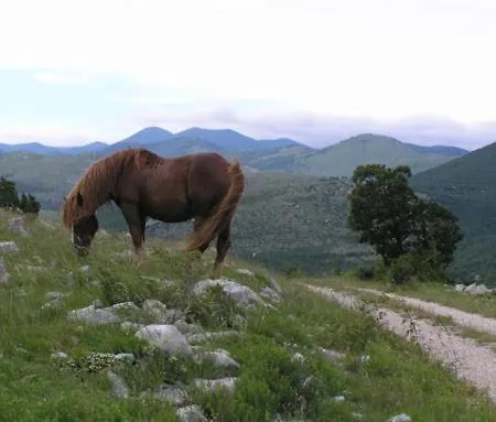 Blue * Bribir (Primorje-Gorski Kotar)