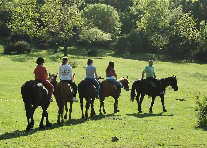 Apartment Blue Bribir (Primorje-Gorski Kotar)